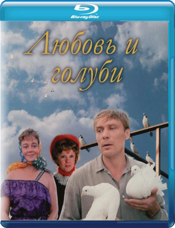 вфы